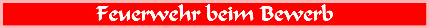 Branddienstleistungsprüfung Branddienstleistungsprüfung