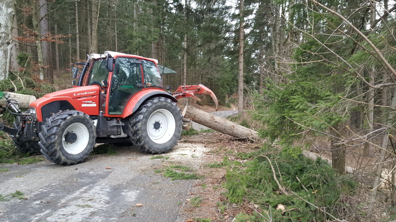 20.04. Baumberung